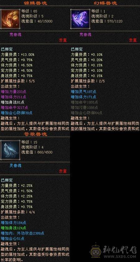 测试