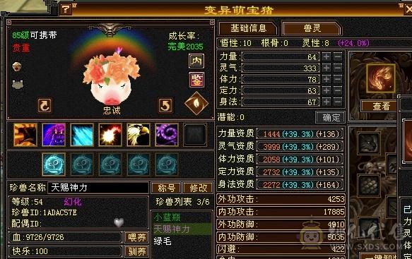 全4五雕带宝宝 内攻11级 气武当 内4W 双属