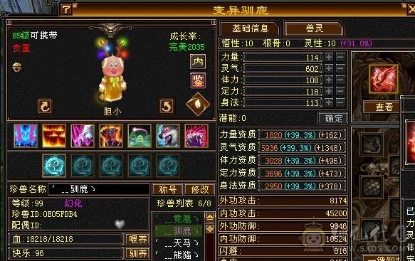 满5带6暴力气武当4级配饰颜值拉满