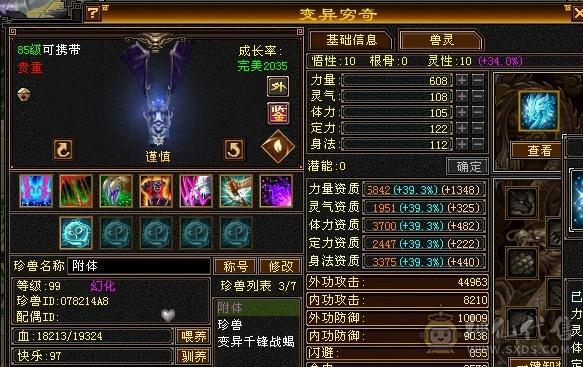 5级气武当，便宜