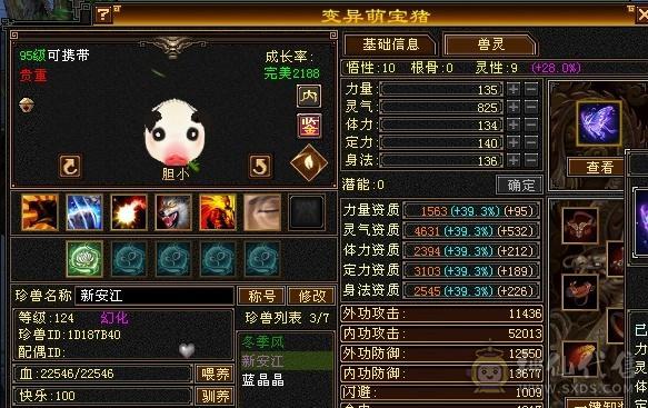 5级天龙防具也是5