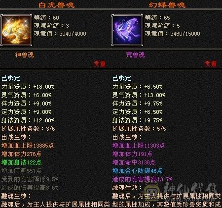 5级天龙防具也是5