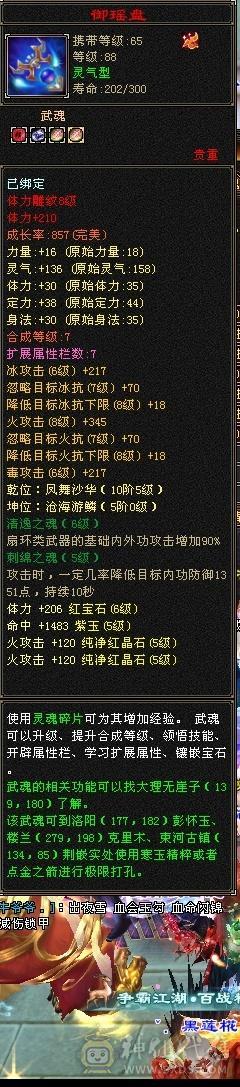 『阿伟•推荐』极限满5减88逍遥 云翼永久坐骑 红仙侣+各种好看时装 魂录 双剑甲 无精华盟会状态 所见即所得