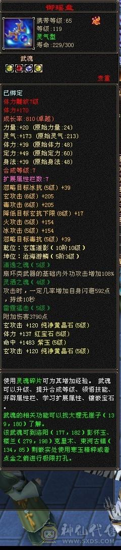 5级天龙防具也是5