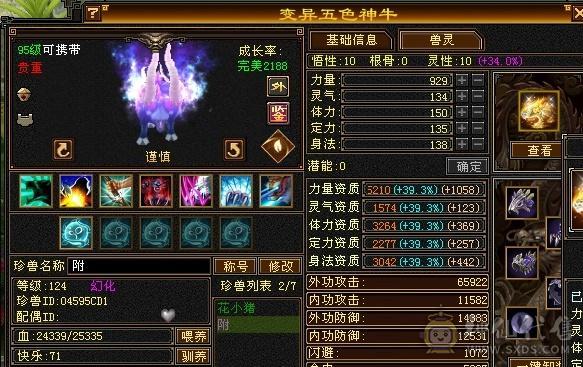 超级帅天龙，颜值爆表