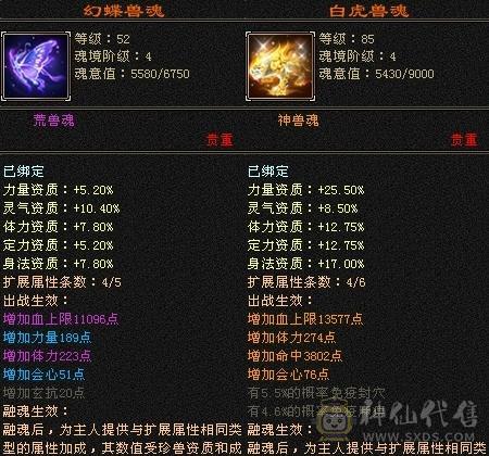 超级帅天龙，颜值爆表
