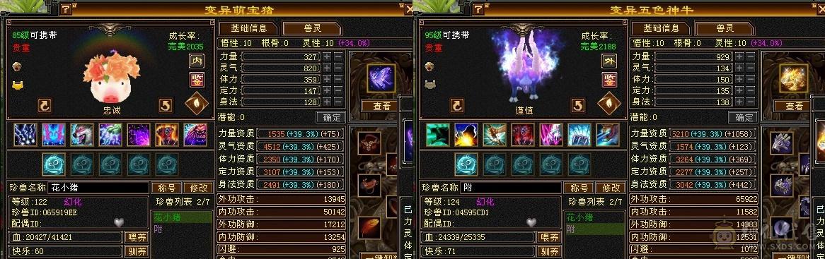 超级帅天龙，颜值爆表