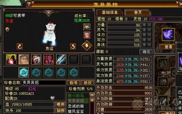 极品卡级  高会防  