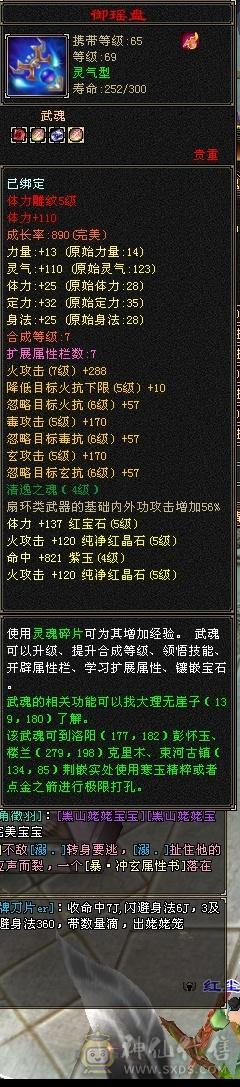 漂亮逍遥，永久坐骑