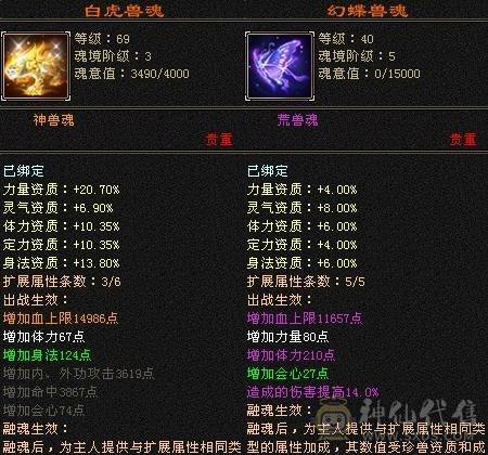 五级四修三级配饰二周年时装一身极品装备
