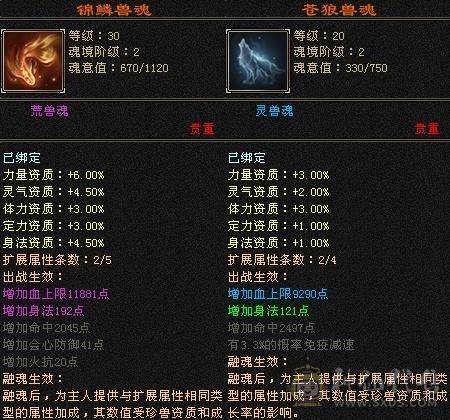 上手能玩，挖矿生活号