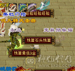 1337 属性  等级第一梯队 副本无压力细节号带宝宝