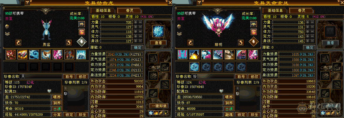 6体6属6减6身6命  无敌单 8雕新5   