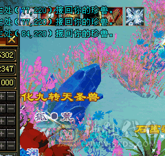 顶级6带7级～赤兔坐骑～冰玄毒～无敌丹～三修星宿～10级拼命金龙。5个10级兽灵 灵动体凤凰。