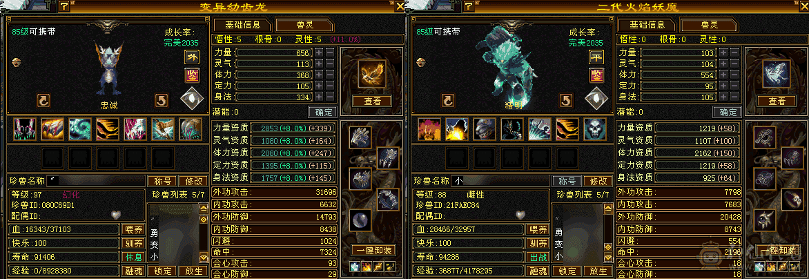 五体五属性，双休，双坑，