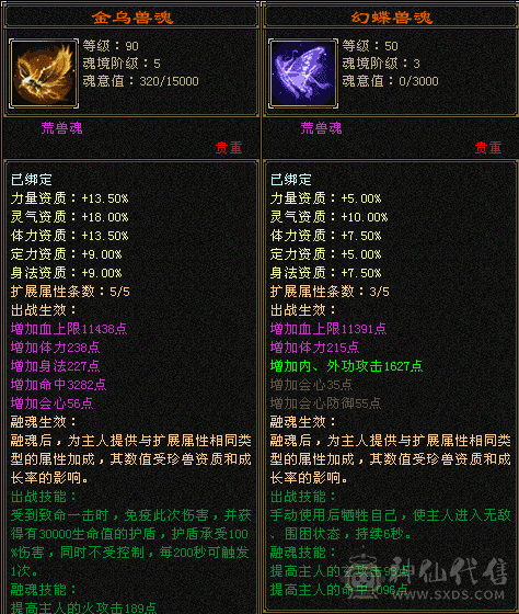 五体五属性，双休，双坑，