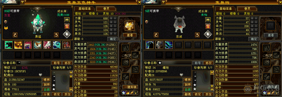 不砍价看上拍！更新至51万＋血三满！五神兽魂！50W+血总属9247暴力天龙！！带三个双十宝宝带3500YB！