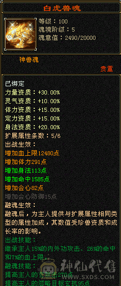 不砍价看上拍！更新至51万＋血三满！五神兽魂！50W+血总属9247暴力天龙！！带三个双十宝宝带3500YB！