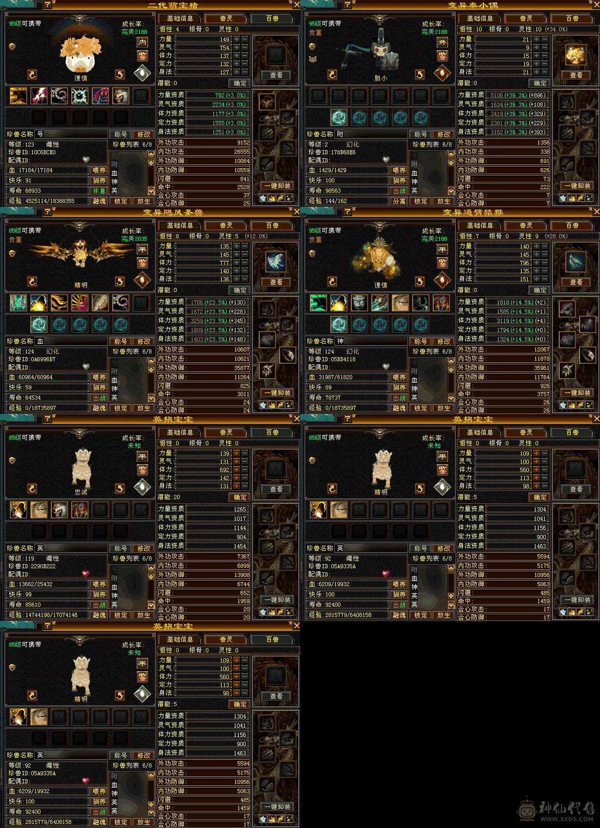 满五天龙号，300+会心，四修三下限