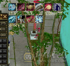 5神5级毒逍遥，高命中高会心 高颜值。