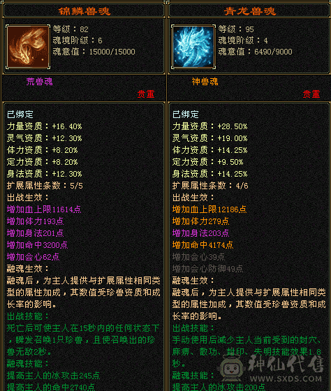 他们都是极限五，我不是