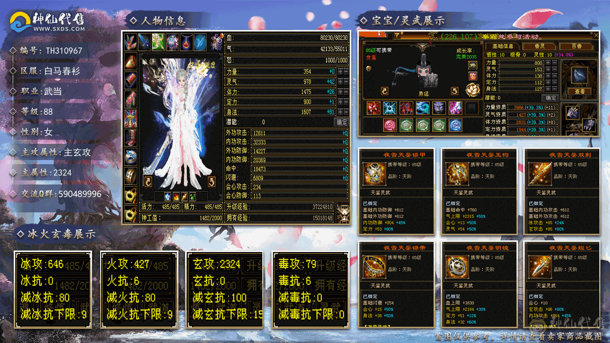 推怪10w+带三只双十宝宝30级灵兽一对幻视