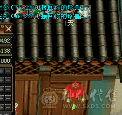 卡88级逍遥带四只极品宝宝