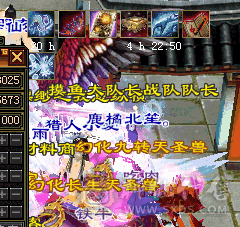 退游出·带双10双9兽灵龙·带红熊坐骑背饰·衣服