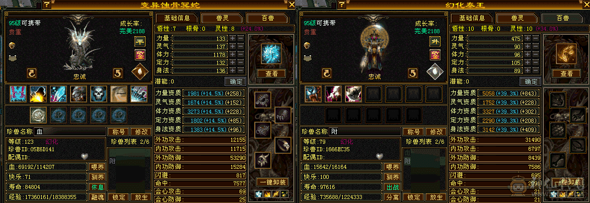 极品满5武当
