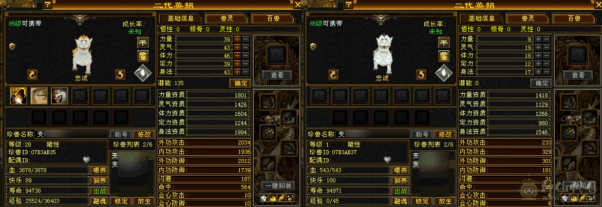 有雕纹，处理卡级号