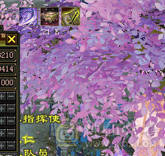 极限6级恶人谷，全部九雕，新七雕纹。带花榜霓彩宝宝   60段唯一！
