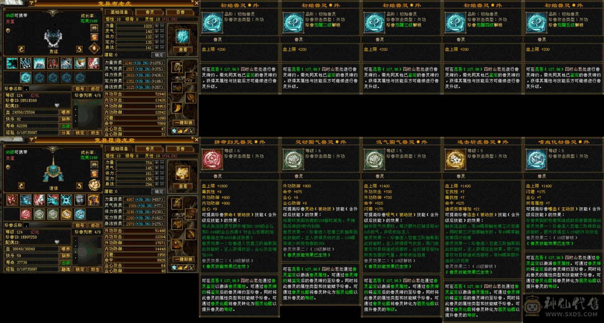 双修，高抗+周年坐骑+永久背饰+兽灵宝宝+昭化金乌坐骑