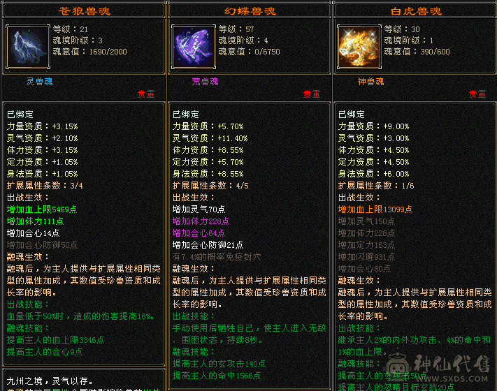 卡88满4天龙 雕纹5+3 带50宝宝 时装幻饰