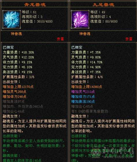 全5天龙 ，仓库有石头，神仙购买，有购买记录，没时间玩了，自己看细节图