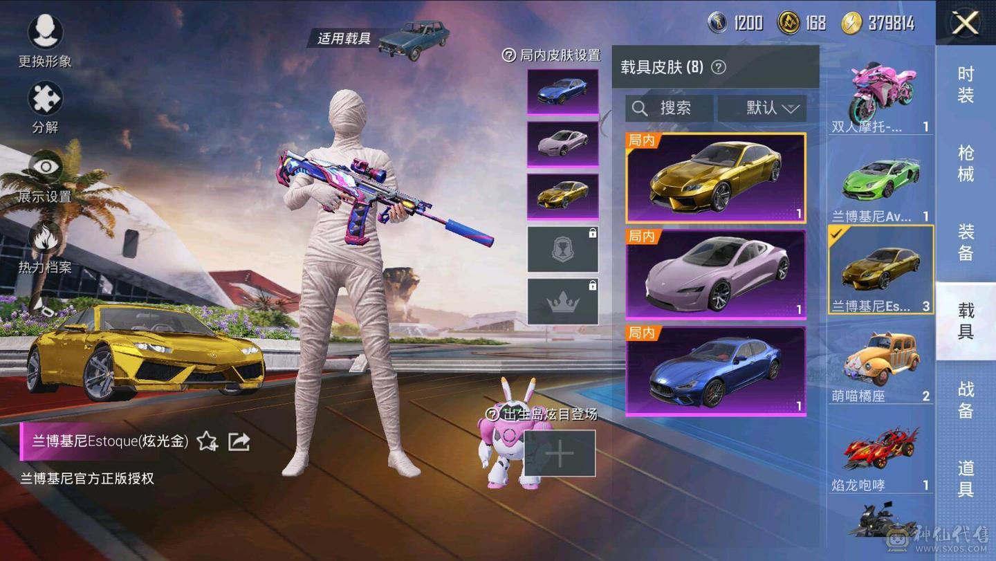 金兰博基尼全套/木乃伊/猫包/绿猫包等热门套装都有/M4/SC/AK等热门枪皮都有，买了无需再投入花了好几万了