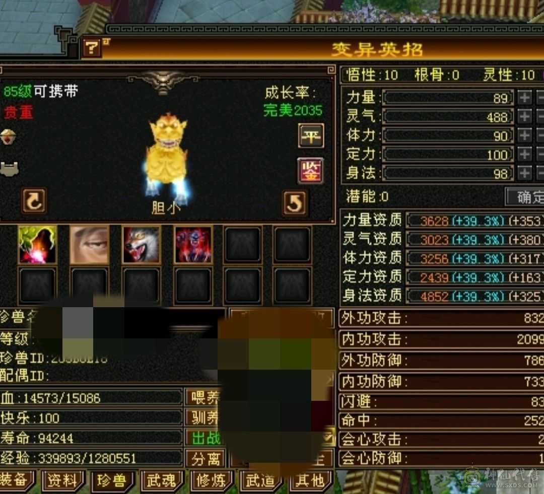 满六强力三修逍遥懂的来