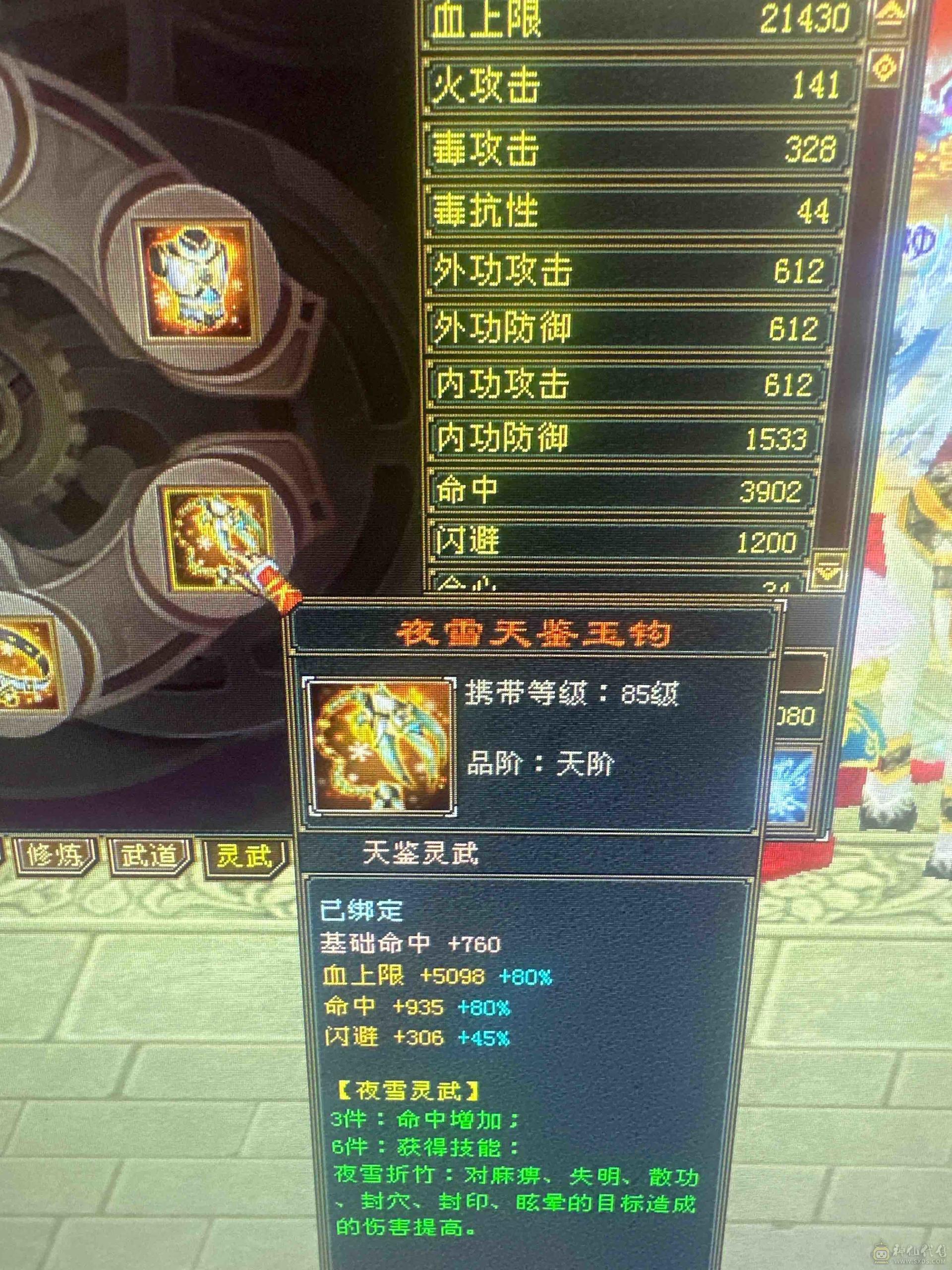 7666极限三修星宿逍遥  神兽马上五介