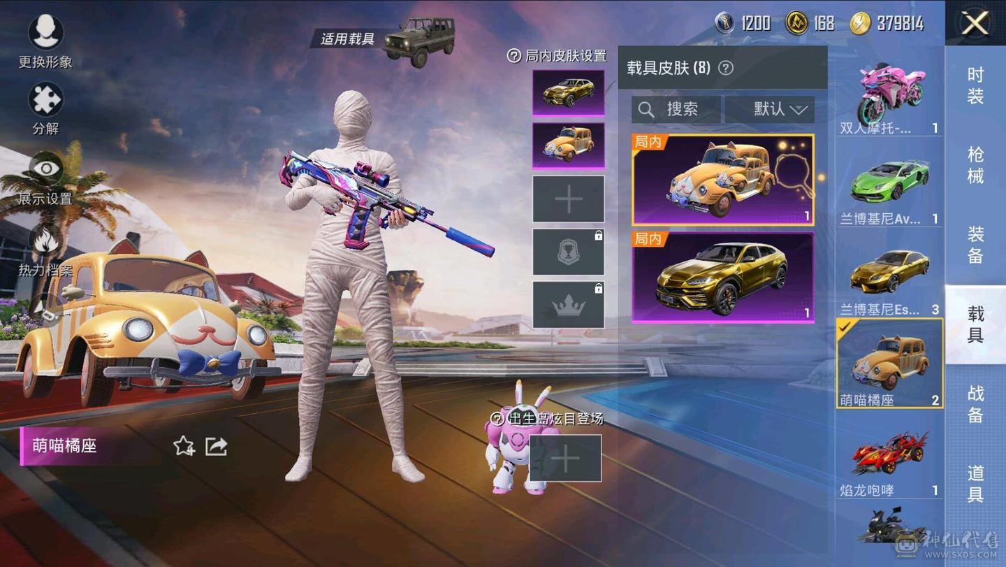 金兰博基尼全套/木乃伊/猫包/绿猫包等热门套装都有/M4/SC/AK等热门枪皮都有，买了无需再投入花了好几万了