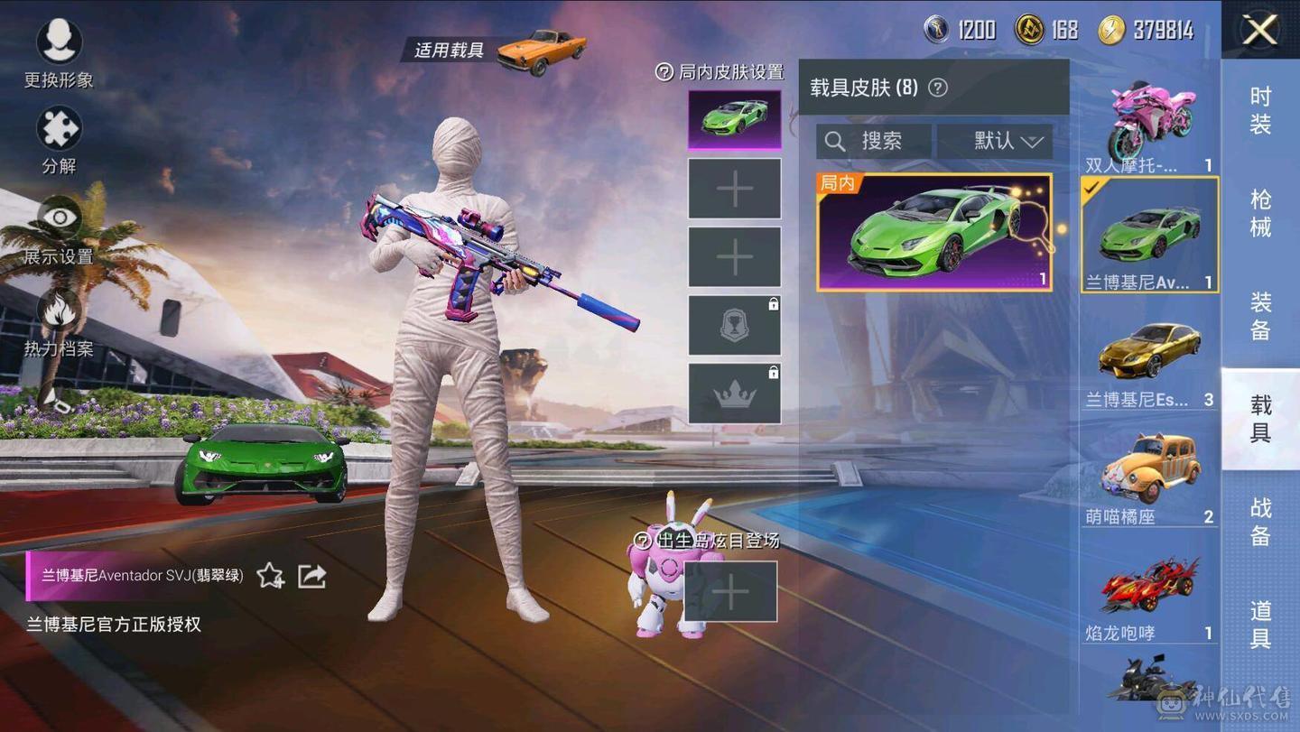 金兰博基尼全套/木乃伊/猫包/绿猫包等热门套装都有/M4/SC/AK等热门枪皮都有，买了无需再投入花了好几万了
