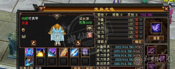 阿伟推荐：5带4 性价比极品 没精华状态  便宜出 