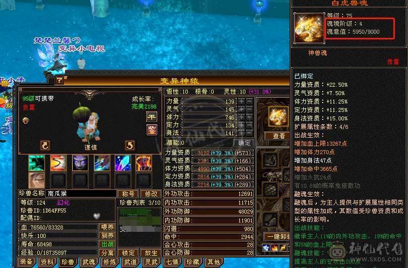 秒价！！独一无二细节五减曼陀，10件幻视武器，30件限定时装，永久雪猿坐骑，全服万元内仅此1号！
