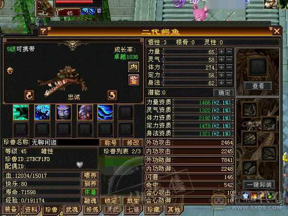 本区第一卡38级（永久熊坐骑）
