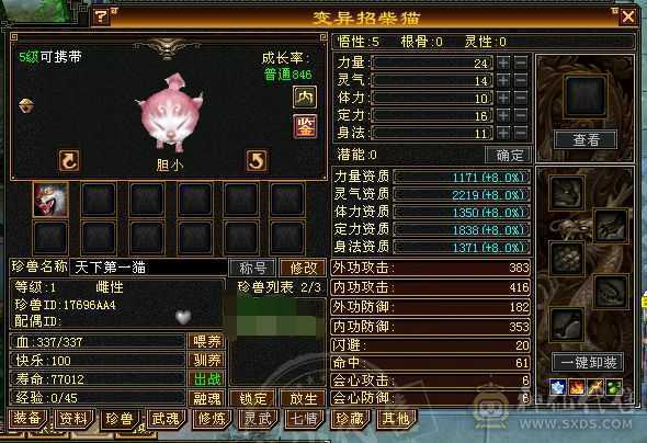 本区第一卡38级（永久熊坐骑）