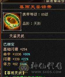六属带六抗，增伤拉满逍遥。