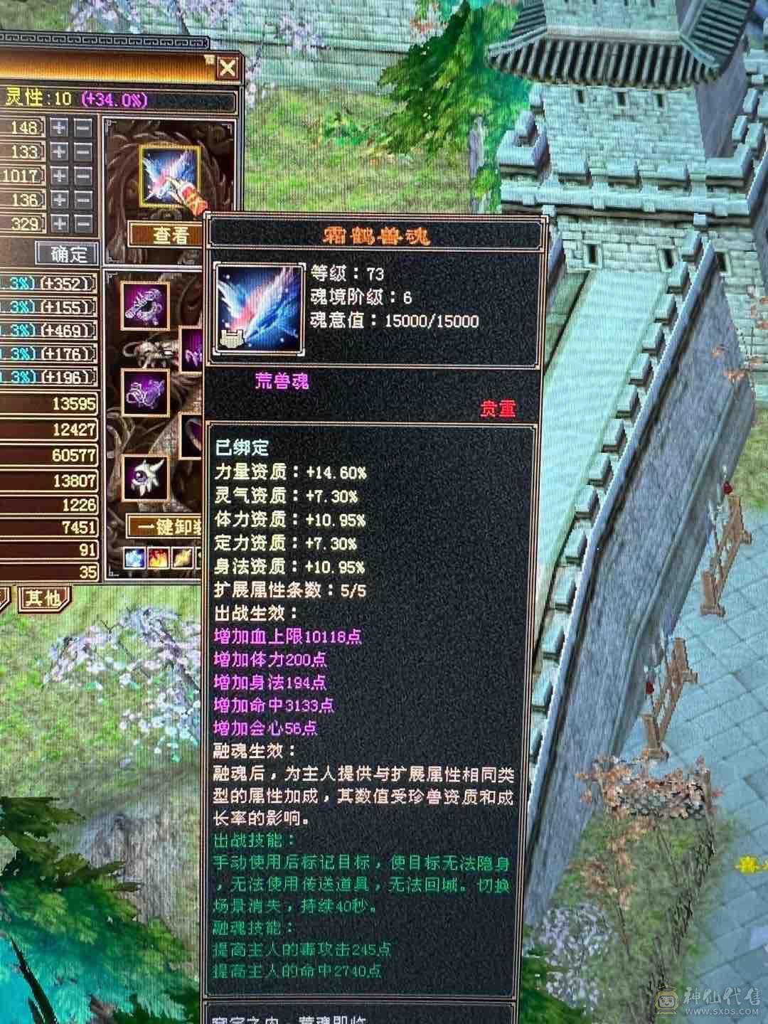细节 5级6T   6橙神兽 暴力增伤星宿
