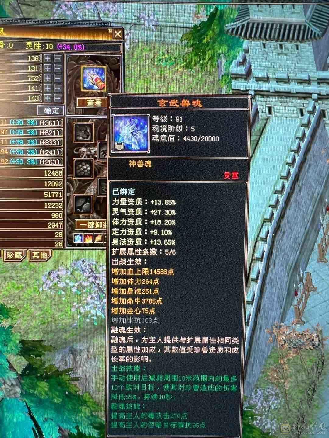 细节 5级6T   6橙神兽 暴力增伤星宿