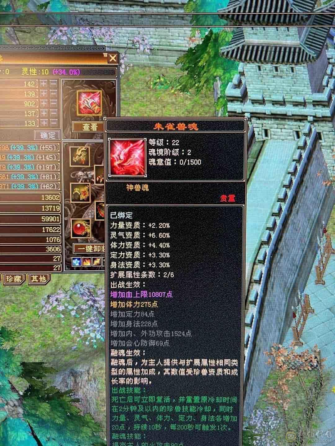 细节 5级6T   6橙神兽 暴力增伤星宿