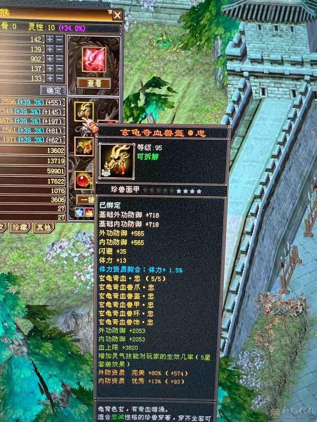 细节 5级6T   6橙神兽 暴力增伤星宿