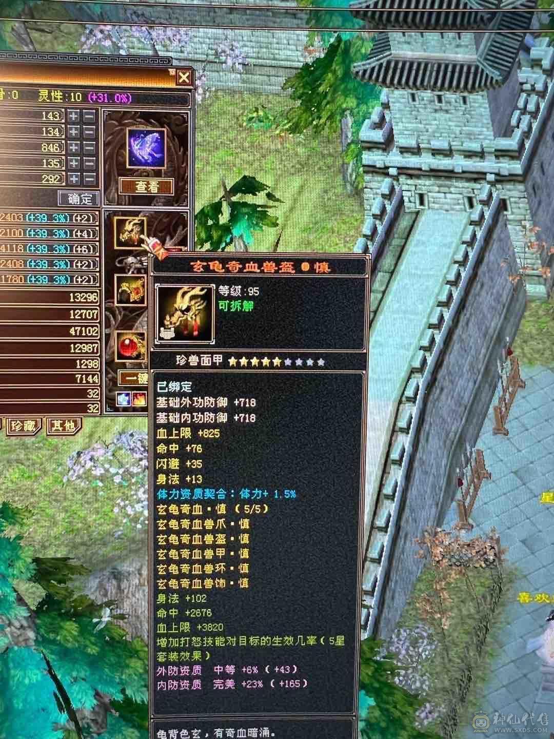 细节 5级6T   6橙神兽 暴力增伤星宿