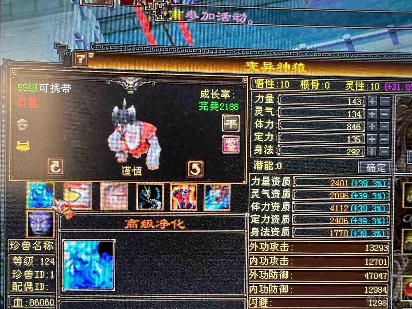 细节 5级6T   6橙神兽 暴力增伤星宿